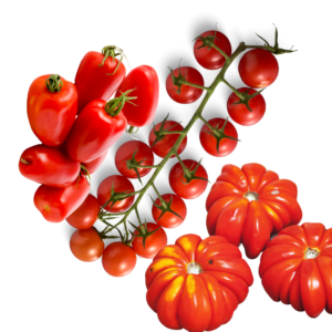 Pomodori